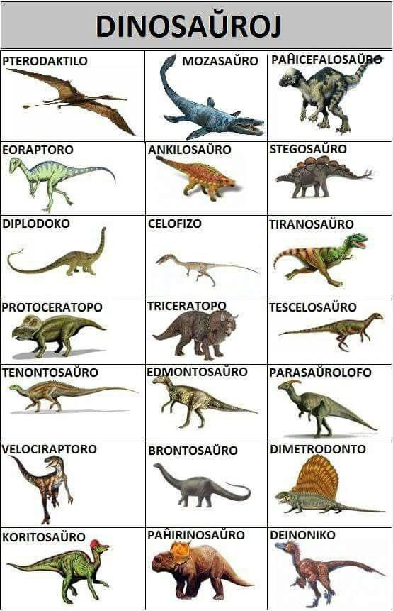 dinosaŭroj.jpg